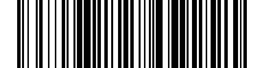 RENT FLYER 