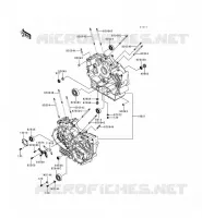 CARTER MOTEUR(S) pour Kawasaki VN800 1999