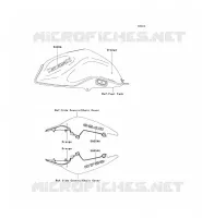 STICKER(ORANGE) pour Kawasaki Z750 2008