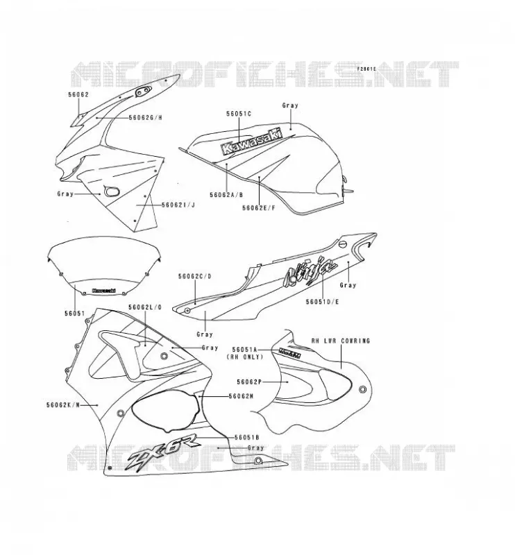 DECALS(GRAY/GRAY) Kawasaki MOTOS 600 1999 NINJA ZX-6R  ZX600-H2