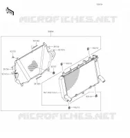 Accessory(Radiator Screen) pour Kawasaki Z900 2019