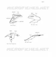 Decals(Gray)(DKF) pour Kawasaki Z900 2019