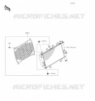 ACCESSOIRE(Radiator Screen) pour Kawasaki NINJA 400 2020